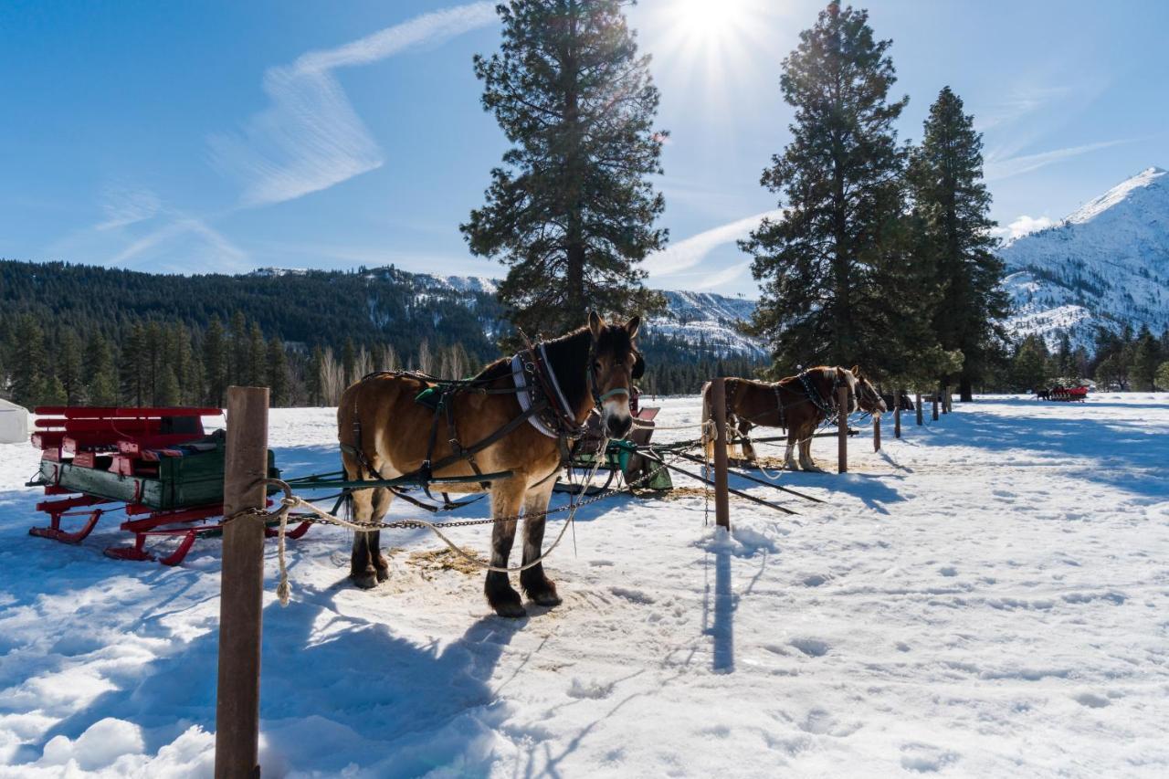 Aspen Suites 506: The Nest Leavenworth Exteriör bild